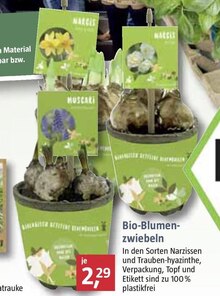 BAUHAUS Pforzheim - Bio-Blumenzwiebeln Bio-Blumenzwiebeln Angebot bei BAUHAUS Pforzheim im Prospekt "KW 06 Handzettel"