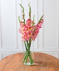 Bouquet de 5 glaïeuls en promo chez Super U Dunkerque à 4,99 €