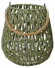 Angebot im Hagebaumarkt Blomesche Wildnis Prospekt Hagebaumarkt Blomesche Wildnis Prospekt mit im Angebot für 9,99 €