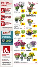 Blumen im toom Baumarkt Prospekt in Lörrach Aktueller toom Baumarkt Prospekt mit Blumen, "Respekt, wer's selber macht.", Seite 2