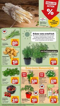 Gartenerde im REWE Prospekt "Dein Markt" mit 34 Seiten (Hildesheim)