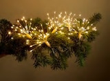 LED-Lichterkette im Lidl Prospekt LED-Lichterkette von LIVARNO im aktuellen Lidl Prospekt für 7,99 €