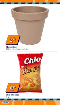 Blumentopf im Action Prospekt "Wochenangebote" mit 32 Seiten (Düsseldorf)