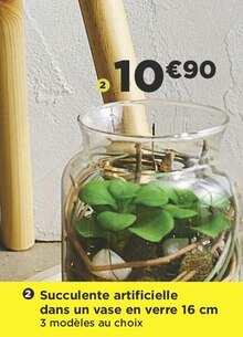 Succulente artificielle dans un vase en verre 16 cm - Casino Supermarchés à Montigny-le-Bretonneux Succulente artificielle dans un vase en verre 16 cm en promo chez Casino Supermarchés Montigny-le-Bretonneux à 10,90 €