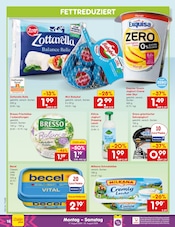 Mozzarella im Netto Marken-Discount Prospekt in Regensburg Aktueller Netto Marken-Discount Prospekt mit Mozzarella, "Aktuelle Angebote", Seite 22