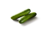 Lidl Steinhagen - Snack Gurken Angebot im Prospekt Snack Gurken bei Lidl im Steinhagen Prospekt für 1,11 €