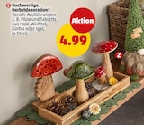 Hochwertige Herbstdekoration im Angebot bei Penny in Fulda Hochwertige Herbstdekoration Angebote bei Penny Fulda für 4,99 €
