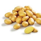 Lidl Nemours - Promo Pomme de terre primeur Promo Pomme de terre primeur à 1,65 € dans le catalogue Lidl à Nemours