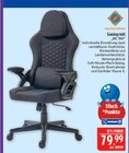 Gamingstuhl DC 130 Angebote von Deltaco Gaming bei Marktkauf Plauen für 79,99 €