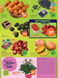Erdbeeren im tegut Prospekt "tegut… gute Lebensmittel" auf Seite 5