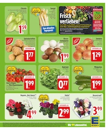 Pflanzen im aktuellen EDEKA Prospekt (Augsburg) Pflanzen im EDEKA Prospekt "Wir lieben Lebensmittel." mit 26 Seiten (Augsburg)