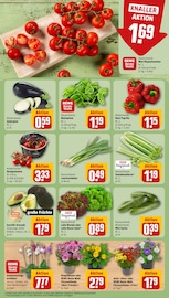 Ähnliche Sommerflieder Angebote im Prospekt "Dein Markt" von REWE in Offenbach Ähnliche Angebote wie Sommerflieder im Prospekt "Dein Markt" auf Seite 7 von REWE in Offenbach