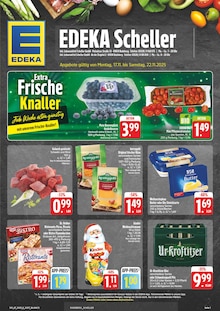 Aktueller EDEKA Radeberg Prospekt EDEKA Prospekt Radeberg "Wir lieben Lebensmittel!" mit 28 Seiten