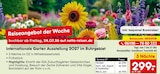 Internationale Garten Ausstellung 2027 im Ruhrgebiet Angebote bei Netto Marken-Discount Kaiserslautern für 299,00 €
