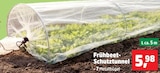 Frühbeet-Schutztunnel im Angebot bei Thomas Philipps in Siegen Frühbeet-Schutztunnel Angebote bei Thomas Philipps Siegen für 5,98 €