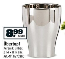 Übertopf bei OBI in Göppingen Übertopf im Angebot bei OBI Göppingen für 8,99 €