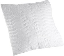 Kopfkissen kochfest* oder Steppbett kochfest* bei REWE in Recklinghausen Kopfkissen kochfest* oder Steppbett kochfest* im Angebot bei REWE Recklinghausen für 9,99 €