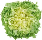 EDEKA Hasbergen - Italien Endiviensalat Angebot im Prospekt Italien Endiviensalat bei EDEKA im Hasbergen Prospekt für 1,99 €