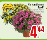Chrysanthemen-Busch Angebote bei EDEKA Ravensburg für 4,44 €