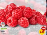 Deutsche Himbeeren bei Penny im Vogt Prospekt für 1,99 €