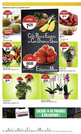 Orchidée Angebote im Prospekt "Casino #hyperFrais" von Géant Casino auf Seite 14