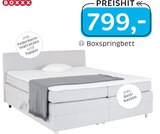 Boxspringbett für 799,00 € bei XXXLutz Möbelhäuser im Angebot Boxspringbett im aktuellen XXXLutz Möbelhäuser Prospekt