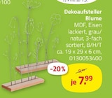 Dekoaufsteller Blume von  im aktuellen ROLLER Prospekt für 7,99 €