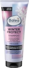 Shampoo Winter Protect von Balea Professional im aktuellen dm-drogerie markt Prospekt