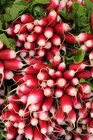 Radis rose botte en promo chez Carrefour Saint-Maur-des-Fossés à 1,19 €