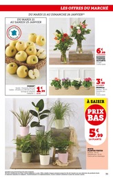 Offre Plante Vivace dans le catalogue Super U du moment à la page 35