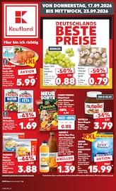 Kaufland Supermarkt Prospekt der aktuellen Woche mit 66 Seiten, gültig von 17.09.2026 bis 23.09.2026, in Vreden und Umgebung Aktueller Kaufland Supermarkt Prospekt in Vreden und Umgebung, "Hier bin ich richtig" mit 66 Seiten, 17.09.2026 - 23.09.2026