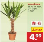 Yucca Palme im Angebot bei Netto Marken-Discount in Kassel Yucca Palme Angebote bei Netto Marken-Discount Kassel für 4,99 €