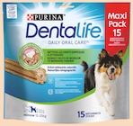Sticks bucco-dentaire medium - DENTALIFE dans le catalogue Intermarché