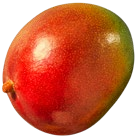 Mango Angebote bei Kaufland Paderborn für 1,29 €