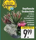 E center Ottobrunn - Bepflanzte Grabschale Angebot im Prospekt Bepflanzte Grabschale bei E center im Ottobrunn Prospekt für 9,99 €