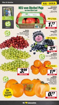 Äpfel im E center Prospekt "Aktuelle Angebote" mit 25 Seiten (Münster)