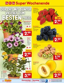 Blumen im Netto Marken-Discount Prospekt "Aktuelle Angebote" mit 60 Seiten (Dortmund)
