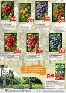 Äpfel im Raiffeisen Rhein-Ahr-Eifel Handelsgesellschaft mbH Prospekt "Beerenstark in die Saison" mit 8 Seiten (Bonn)