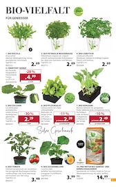 Aktueller Dehner Garten-Center Prospekt mit Kohle, "Aktuelle Angebote", Seite 3