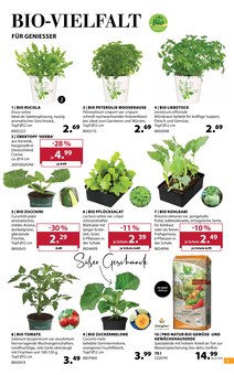 Zucchini im Dehner Garten-Center Prospekt "Aktuelle Angebote" mit 18 Seiten (Nürnberg)