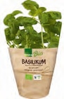 Basilikum im Angebot bei EDEKA in Stade Basilikum Angebote bei EDEKA Stade für 1,69 €