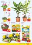 Blumenerde Blumenerde