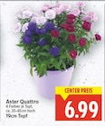Aster Quattro im E center Prospekt Aster Quattro von im aktuellen E center Prospekt für 6,99 €