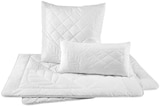 Aktuelle Bettdecke Angebote bei XXXLutz Möbelhäuser in Bonn Aktuelles Sommerbett Angebot bei XXXLutz Möbelhäuser in Bonn ab 19,99 €