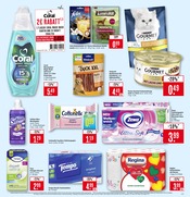 Tierfutter im Marktkauf Prospekt in Böblingen Aktueller Marktkauf Prospekt mit Tierfutter, "Aktuelle Angebote", Seite 25