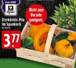Aktuelle Pflanzen Angebote bei E center in Aachen Aktuelles Zierkürbis-Mix Angebot bei E center in Aachen ab 3,77 €