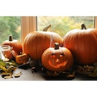 Jack'O Lantern dans le catalogue Carrefour