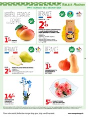 Promos Plante Verte dans le catalogue "LE GOÛT DU RÉCONFORT" de Auchan Hypermarché Plante Verte en promo dans le catalogue Auchan Hypermarché à la page 15