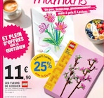 Les fleurs de cerisier - LEGO en promo à 11,90 € chez E.Leclerc Les fleurs de cerisier - LEGO dans le catalogue E.Leclerc