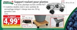 Promo Support roulant pour plantes à 4,99 € dans le catalogue Norma à Mattaincourt
